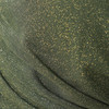 Damen Bikinioberteil mit Glitter