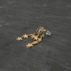 1 paar damesoorbellen in gouden look