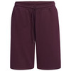 Herren Sweatshorts mit Elastikbund
