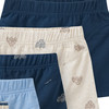 5 Jungen Boxer im Set