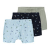 3 Jungen Boxer mit Dino-Motiven