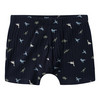 3 Jungen Boxer mit Dino-Motiven
