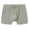 3 Jungen Boxer mit Dino-Motiven