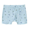 3 Jungen Boxer mit Dino-Motiven