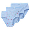 3 Mädchen Slips im Set