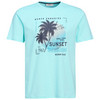 Herren T-Shirt mit Print