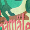 Baby T-Shirt mit Chamäleon-Motiv