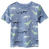 Jungen Set mit T-Shirt und Shorts