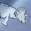 Jungen Set mit T-Shirt und Shorts