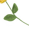 Strickblume mit einer Blüte