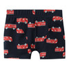 5 Jungen Boxer im Set