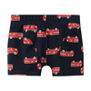 5 Jungen Boxer im Set