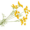 Kunstblume Strahlendolde