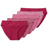 5 Damen Slips im Set