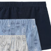 3 Jungen Boxer in verschiedenen Dessins