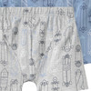 3 Jungen Boxer in verschiedenen Dessins