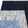3 Jungen Boxer in verschiedenen Dessins