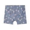 3 Jungen Boxer im Set