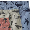 3 Jungen Boxer im Set