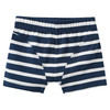 5 Jungen Boxer im Set