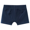 5 Jungen Boxer im Set
