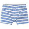 5 Jungen Boxer im Set