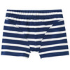 5 Jungen Boxer im Set