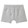7 Jungen Boxer im Set