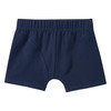 7 Jungen Boxer im Set