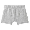 7 Jungen Boxer im Set