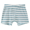 5 Jungen Boxer im Set
