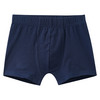 5 Jungen Boxer im Set