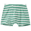 5 Jungen Boxer im Set