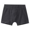 5 Jungen Boxer im Set