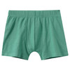 5 Jungen Boxer im Set