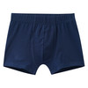 5 Jungen Boxer im Set