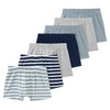 7 Jungen Boxer im Set