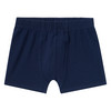 7 Jungen Boxer im Set