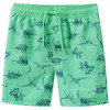 Jungen Badeshorts mit Dino-Motiven 
