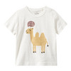 Baby Set aus T-Shirt und Shorts