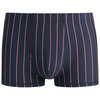 Herren Mikrofasershorts mit Streifen