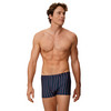 Herren Mikrofasershorts mit Streifen