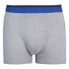 Herren Retroshorts mit Webbund