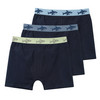 3 Jungen Boxer mit Webbund