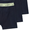 3 Jungen Boxer mit Webbund