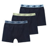 3 Jungen Boxer mit Webbund