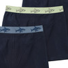 3 Jungen Boxer mit Webbund