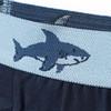 3 Jungen Boxer mit Webbund