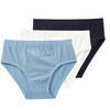 3 Jungen Slips aus Bio-Baumwolle