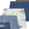 5 Jungen Boxer mit Hai-Motiven